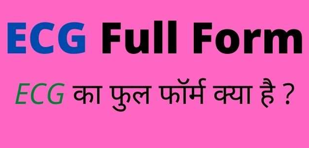 ECG Full Form in Hindi